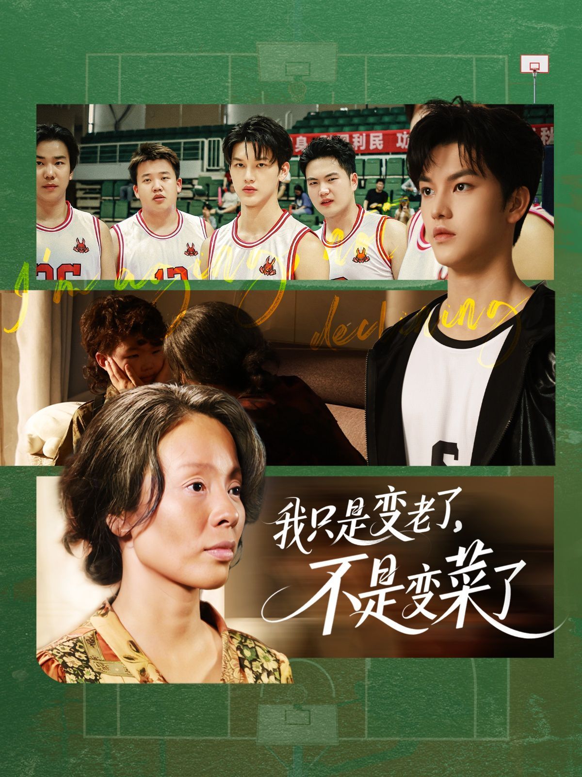 我只是变老了不是变菜了